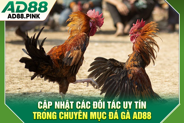 Đá Gà AD88 Với 4 Hình Thức Thi Đấu Sôi Động, Kịch Tính Top 1 Cập nhật các đối tác uy tín trong chuyên mục đá gà AD88
