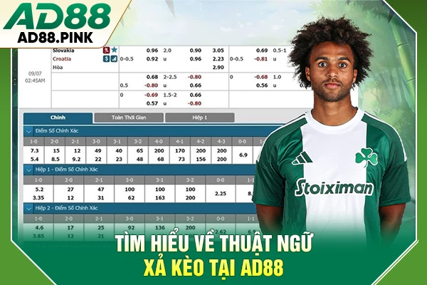 Xả Kèo Chiến Thuật Bảo Toàn Vốn Và Chốt Lời Đỉnh Cao Tìm hiểu về thuật ngữ xả kèo tại AD88