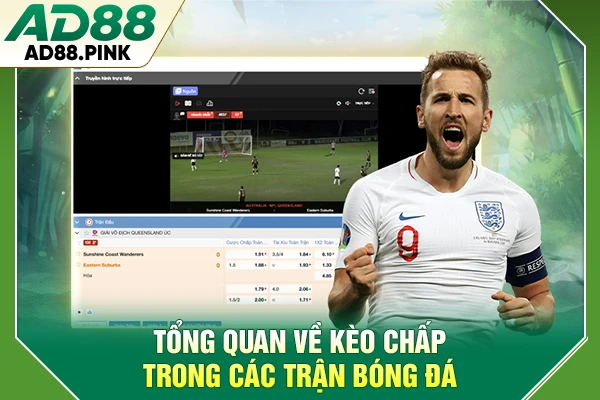 Tìm Hiểu Về Kèo Chấp Và Cách Đọc Tỷ Lệ Trong Bóng Đá Tổng quan về kèo chấp trong các trận bóng đá