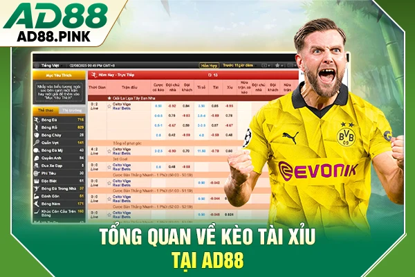 Kèo Tài Xỉu Là Gì? Hướng Dẫn Cách Chơi Cho Người Mới Tổng quan về kèo Tài Xỉu tại AD88